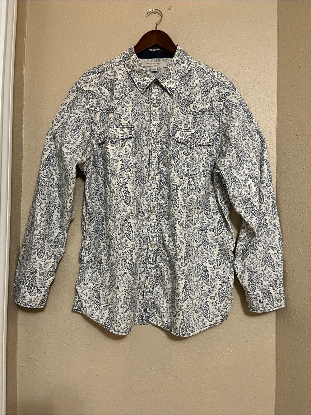 Cody James Men's Dagget Paisley Print Snap Long Sleeve Western Shirt - 2XL